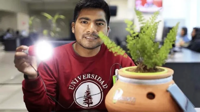 Criado por Herná Asto, o Alinti é um dispositivo revolucionário que une o poder da fotossíntese das plantas com a energia solar para gerar eletricidade de forma limpa, barata e acessível.