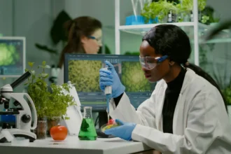 Por milhões de anos, a natureza vem executando uma das reações químicas mais elegantes do planeta: a fotossíntese. Plantas, algas e cianobactérias capturam luz solar, água e dióxido de carbono e os transformam em energia química, liberando oxigênio no processo.